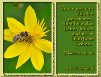 Bibelverse > gemischt