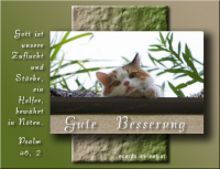 Gute Besserung