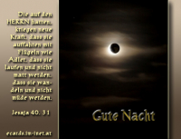 Gute Nacht