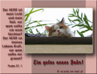 Neujahrsgruß