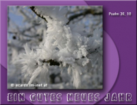 Neujahrsgruß