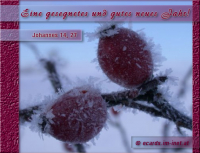 Ein gesegnetes und gutes neues Jahr!
Johannes 14,27 Frieden hinterlasse ich euch; meinen Frieden gebe ich euch. Nicht wie die Welt gibt, gebe ich euch; euer Herz erschrecke nicht und verzage nicht!
