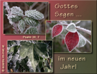 Neujahrsgruß