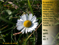 Verschiedene Grüße