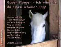 Morgengruß