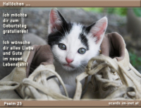 Für Kids ;)