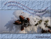 Geburtstag