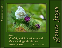 Bibelverse > gemischt