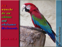 Wochenendgruß