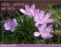 Liebe