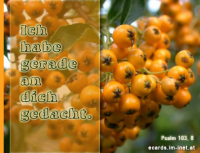 Liebe