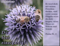 Liebe