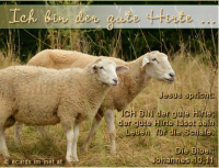 Ich bin der gute Hirte
Jesus: ICH BIN der gute Hirte; der gute Hirte lässt sein Leben für die Schafe.
Die Bibel: Johannes 10,11