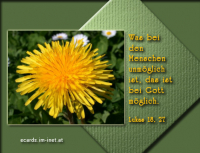 Bibelverse > gemischt