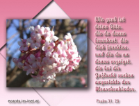 Bibelverse > gemischt