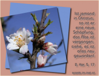 Bibelverse > Neues Leben..