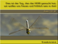 Bibelverse > gemischt