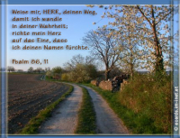 Psalm 86,11 Weise mir, HERR, deinen Weg, damit ich wandle in deiner Wahrheit; richte mein Herz auf das Eine, dass ich deinen Namen fürchte! 