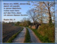 Bibelverse > gemischt