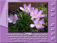 Verschiedene Grüße