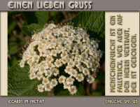 Verschiedene Grüße