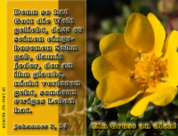 Verschiedene Grüße