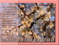 Frühlingsgruß