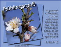 Frühlingsgruß