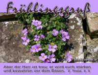 Frühlingsgruß