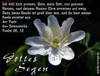 Verschiedene Grüße