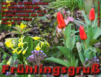 Frühlingsgruß
