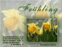Frühlingsgruß