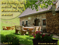 Frühlingsgruß