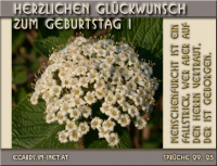 Geburtstag