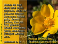 Geburtstag