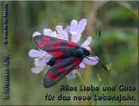 Geburtstag