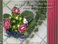 Geburtstag