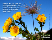 Bibelverse > Alpenblumen