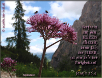 Bibelverse > Alpenblumen