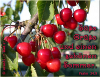 Süße Grüße und einen schönen Sommer.
Psalm 34,9 Schmeckt und seht, wie freundlich der HERR ist; wohl dem, der auf ihn traut!