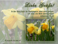 Verschiedene Grüße