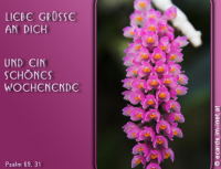 Wochenendgruß