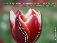 Hochzeit
