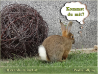 Für Kids ;)