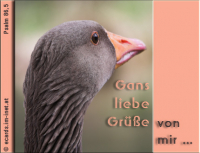 Für Kids ;)