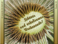 Wochenendgruß