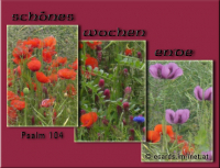 Wochenendgruß