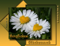 Geburtstag