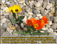 Bibelverse > Neues Leben..