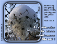 Wintergruß